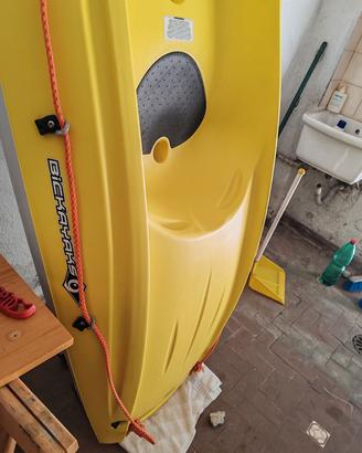 kayak