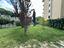 Immagine 28
