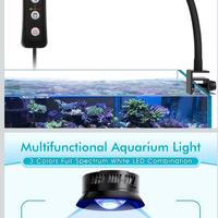 lampada led acquario marino