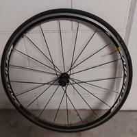 Ruota posteriore Mavic Aksium 28"