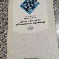 libro anche le formiche nel loro piccolo si incazz