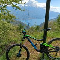 mtb giant trance