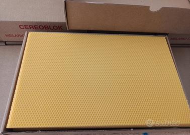 Fogli Cerei apicoltura 