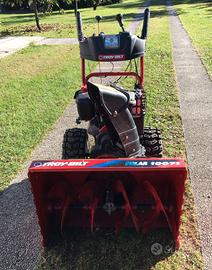 Fresaneve TROY-BILT Polar 10071