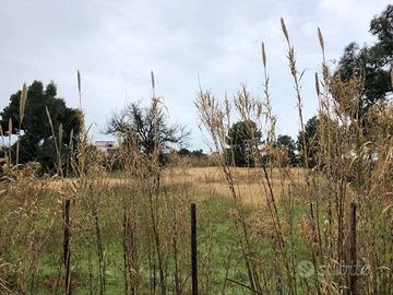 Terreno di 4243 m² a Mondragone