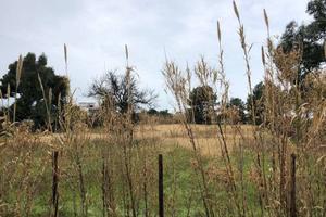 Terreno di 4243 m² a Mondragone