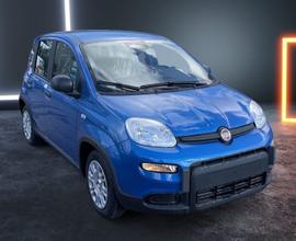 FIAT Panda 1.0 FireFly ROTTAMAZIONE FINO A EURO 4