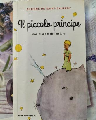 Il piccolo principe 