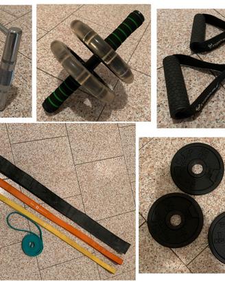 Dischi pesi manubri e bilancieri palestra