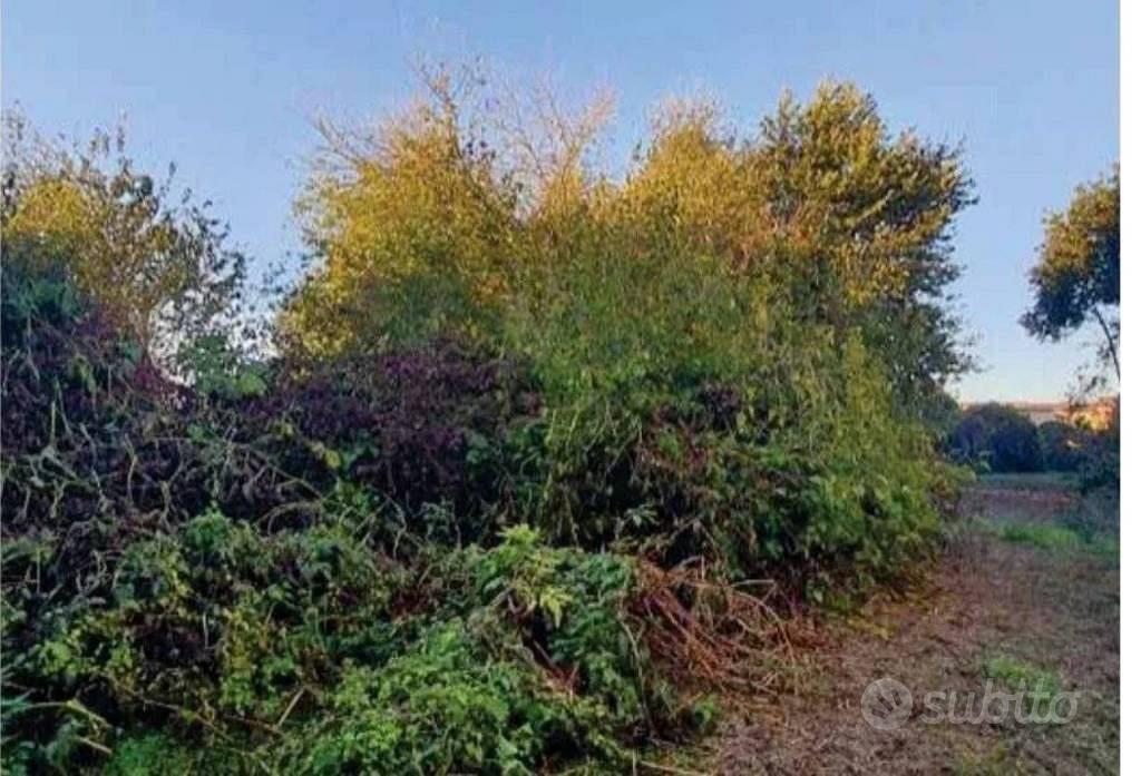 Immobile in asta di 2290 m² a Sustinente - Altro