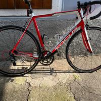Bici da corsa FOCUS CAYO EVO  misura Xl