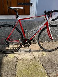 Bici da corsa FOCUS CAYO EVO  misura Xl