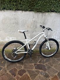 Mtb specialized
