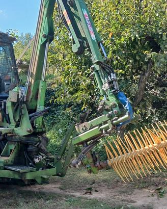 macchina raccolta olive, scuotitore a pettine