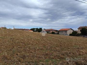 TER. AGRICOLO A LONGIANO
