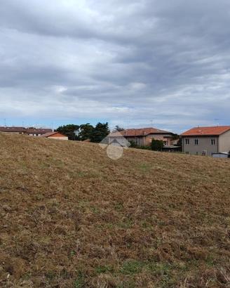 TER. AGRICOLO A LONGIANO