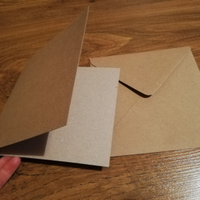 Cartoncino con buste