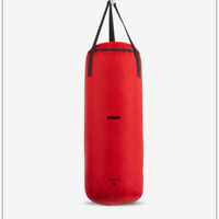 Sacco BOXE punching bag 850