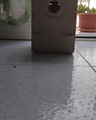 Nidi per pappagalli