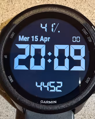 Garmin Forerunner 245