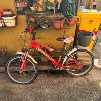 Bici mtb bimbo