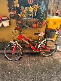 Bici mtb bimbo