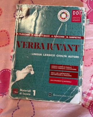 Libro grammatica latina