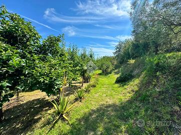 TER. AGRICOLO A GENOVA