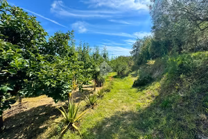 TER. AGRICOLO A GENOVA