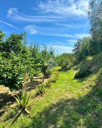 TER. AGRICOLO A GENOVA