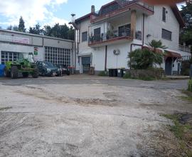 Locali in via rioli Velletri 338 9647 320
