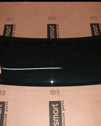 ricambi cofano smart 451  brabus nero  nuovo