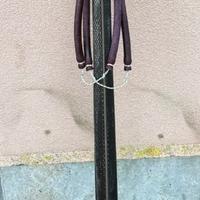 C4 monoscocca pallino doppio