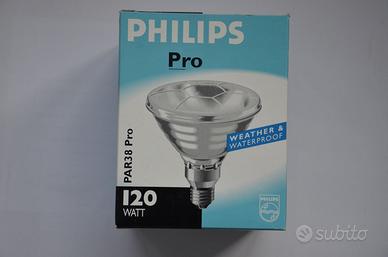 Lampadine spot per uso esterno 120W E27