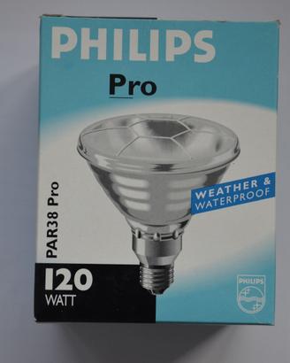 Lampadine spot per uso esterno 120W E27