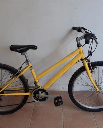 MTB Bottecchia 24