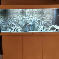 Acquario Juwel Rio 450 litri led + mobile