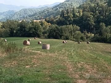 Rotoballa di fieno