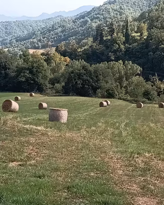 Rotoballa di fieno