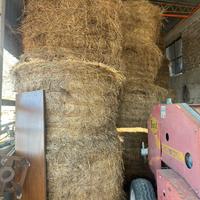 Rotoli fieno prato naturale