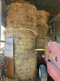 Rotoli fieno prato naturale