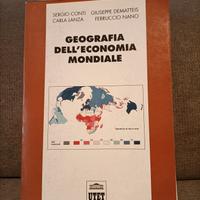 Libro università - Geografia economia mondiale 