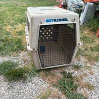 Cane trasporto macchina  trasportino