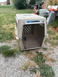 Cane trasporto macchina  trasportino