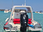 Immagine 9
