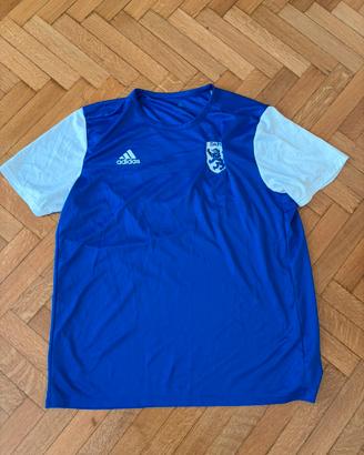 Maglia Calcio Dunfermline Athletic