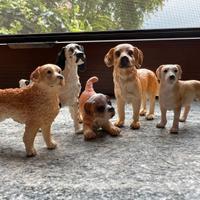 Set 5 Cani SCHLEICH