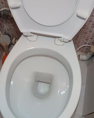 sanitari wc scarico a muro + vaschetta scarico