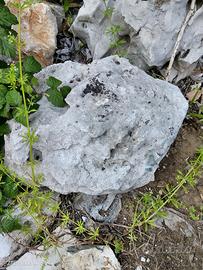 pietre da giardino molto belle