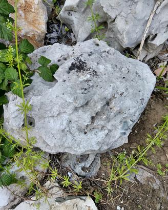 pietre da giardino molto belle